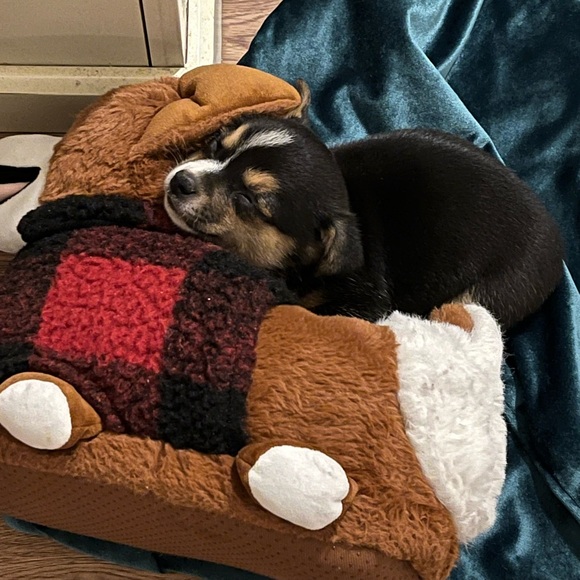 Thank you ❤️ - Picture 2 of 12